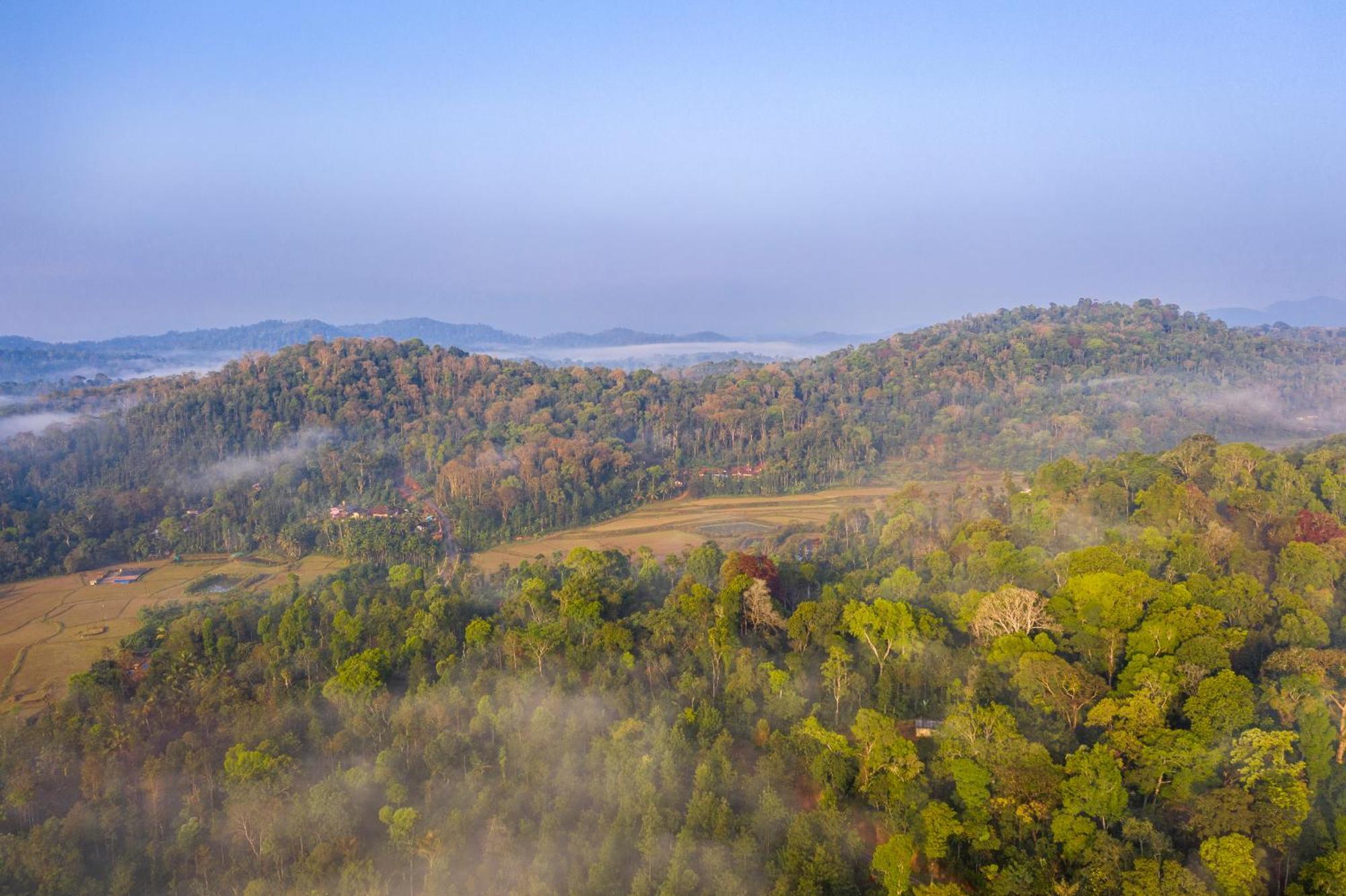 Ama Stays & Trails, Rare Earth Estate Madikeri Zewnętrze zdjęcie